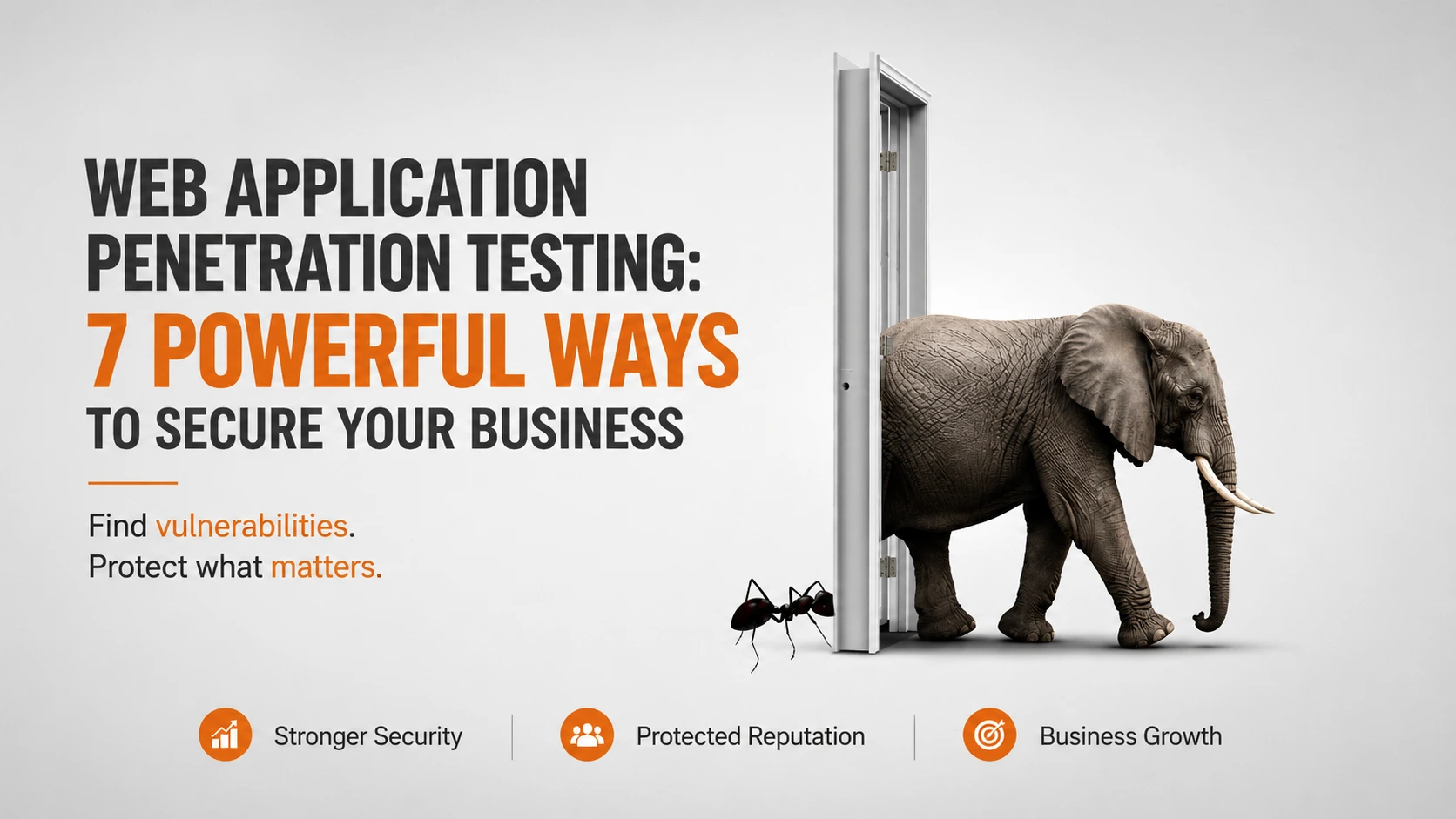 web application penetration testing